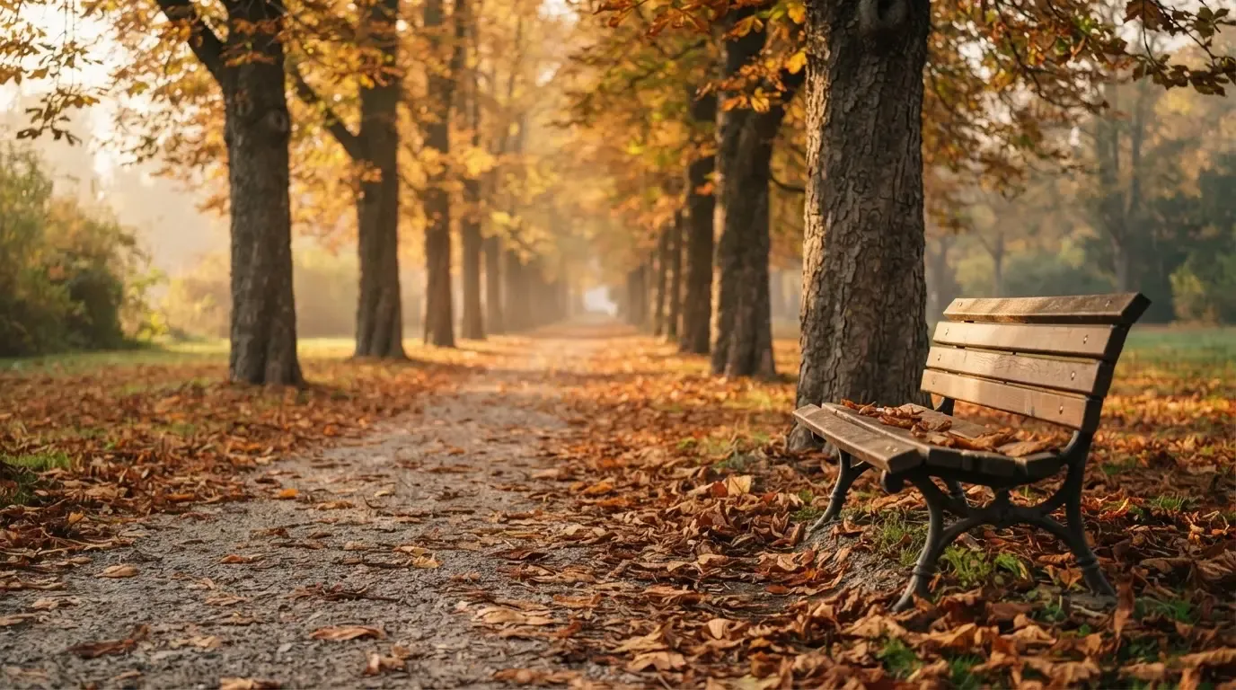 Eine Parkallee mit Kastanienbäumen und einer leeren Bank, Herbstlaub bedeckt den Kiesweg.