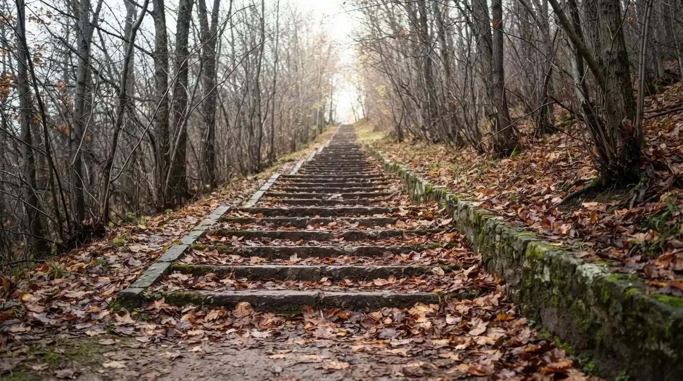 Eine Steintreppe führt einen Hügel hinauf, die Stufen sind mit Herbstlaub bedeckt und seitlich stehen kahle Bäume.