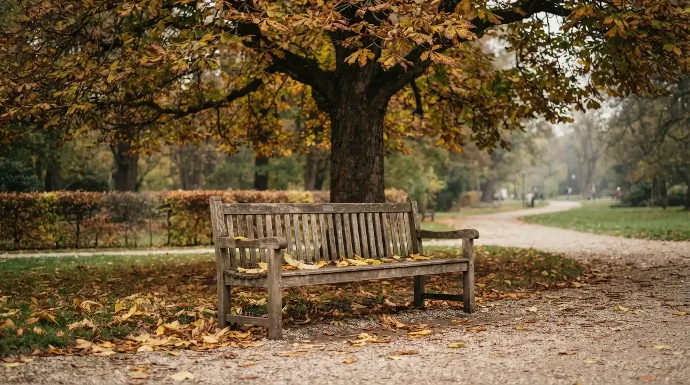 Eine Parkbank unter einer Kastanie im Herbst, auf dem Kiesweg liegen gelbe Blätter.