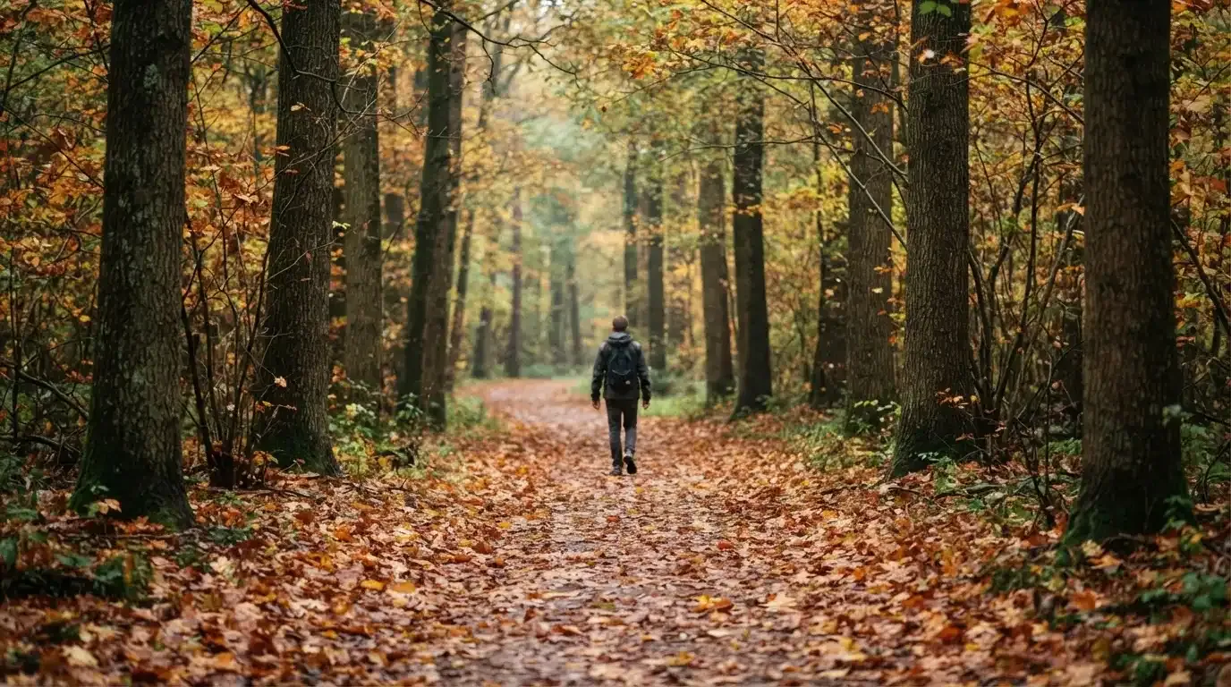 Ein Waldweg im Herbst mit buntem Laub, in der Ferne geht eine einzelne kleine Gestalt zwischen den Bäumen.