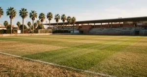 Afrika-Cup Wetten in der Schweiz 2026 – Anbieter, Regeln, Kosten
