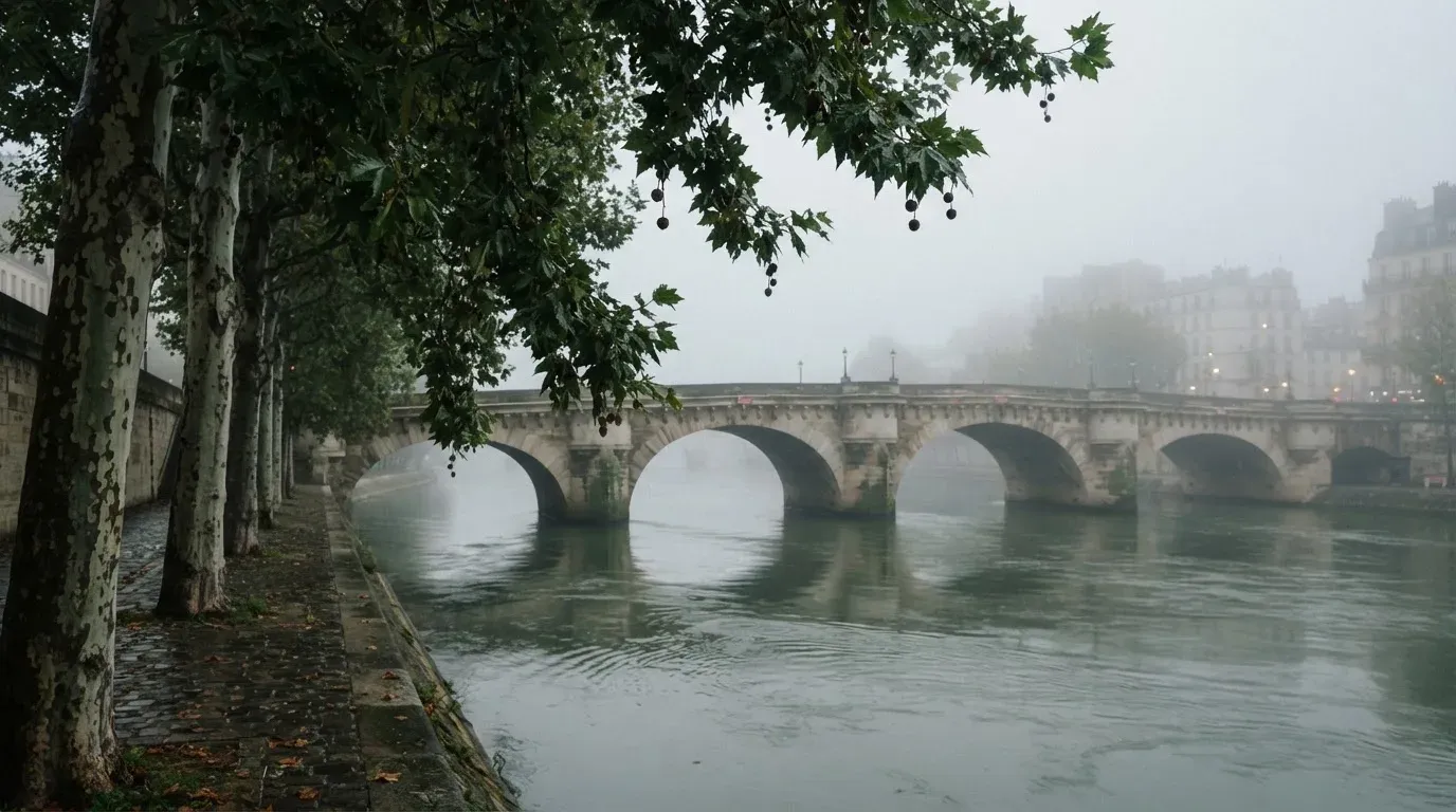 Ein breiter Fluss fliesst unter einer Steinbrücke im Nebel, am Ufer stehen Platanen mit nassen Blättern.