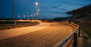 Online Hunderennen wetten Schweiz 2026 – Bewilligung, Marge, Praxis