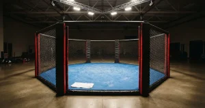 Online MMA Wetten Schweiz 2026 — Buchmacher, Regeln, Risiken