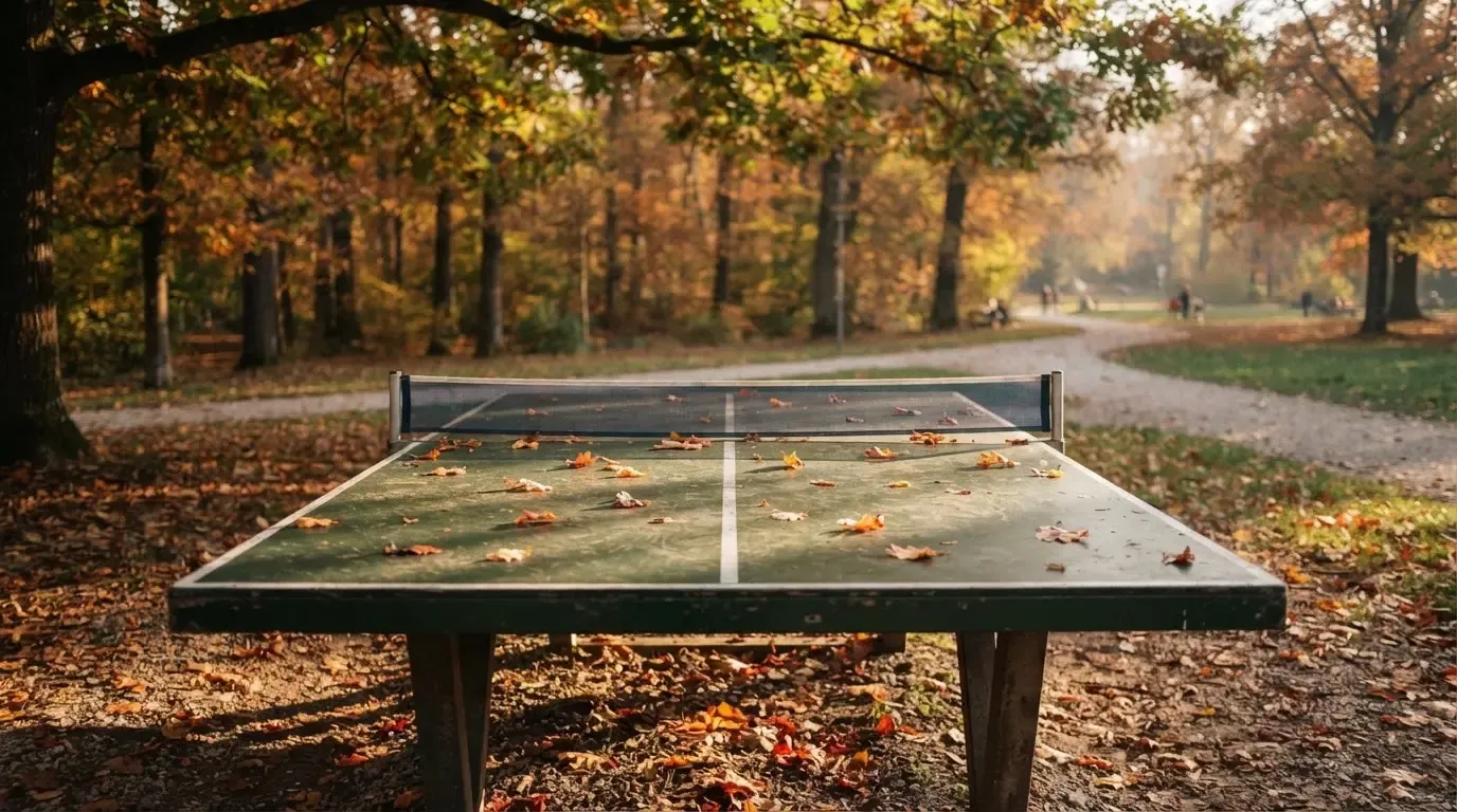 Eine Tischtennisplatte im Freien unter Bäumen, Herbstlaub liegt auf der Platte, das Licht fällt schräg durch die Äste