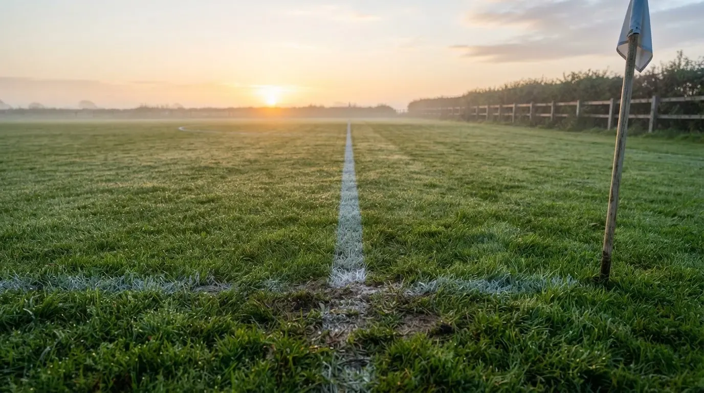 Ein Rasenspielfeld bei Sonnenaufgang, die Mittellinie verläuft quer durchs Bild und Tau glitzert auf dem Gras.